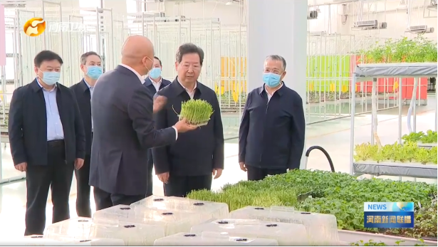 河南省委书记楼阳生莅临金豆子集团调研