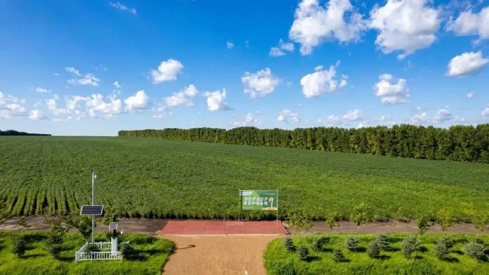 【河南日报农村版报道】金豆子如何用14年把一颗小豆芽种成民生大事业