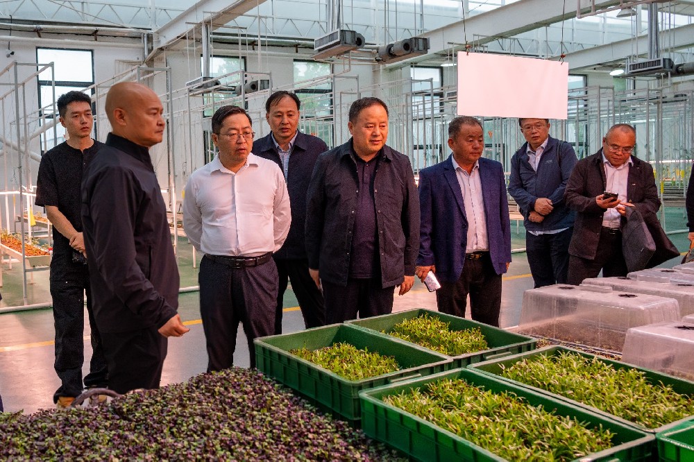 国家大豆产业专家团赴金豆子集团考察调研，共同探讨大豆产业链发展