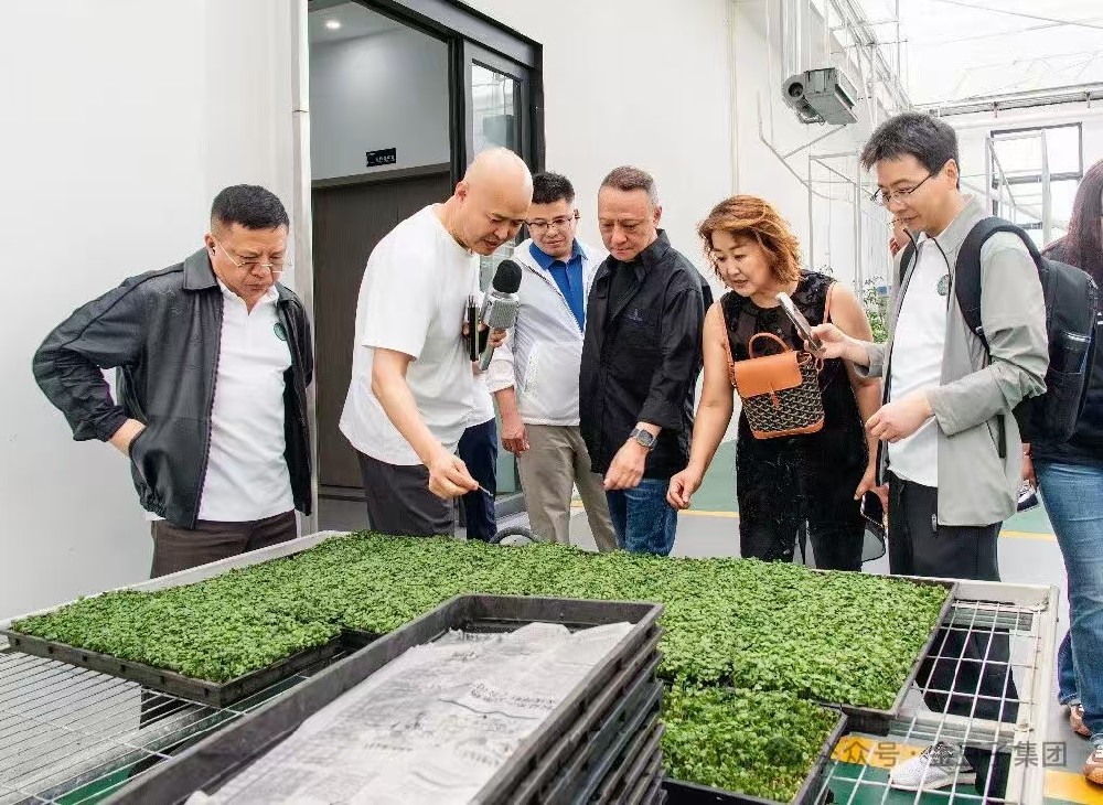 深化交流互鉴 共探农业发展新路径——中农创第九期学员班赴金豆子集团参观考察